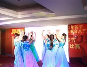 跨越祥和，超越自我—2013春節(jié)聯(lián)歡--財(cái)務(wù)處